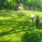 De La Vallée, En Pleine Forêt Casa de Férias *