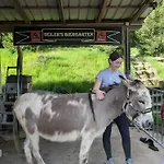 De La Vallée, En Pleine Forêt * Soucht