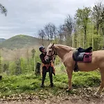 De La Vallée, En Pleine Forêt Casa de Férias Soucht