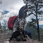 Casa de Férias De La Vallée, En Pleine Forêt *