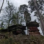 De La Vallée, En Pleine Forêt * Soucht