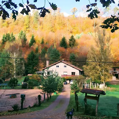 De La Vallee, En Pleine Foret Σπίτι διακοπών *