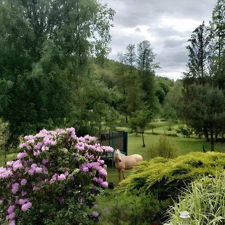 De La Vallee, En Pleine Foret