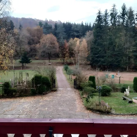 De La Vallee, En Pleine Foret Holiday home *