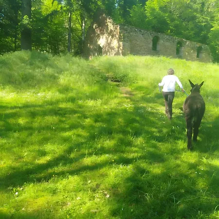 De La Vallee, En Pleine Foret Σπίτι διακοπών *