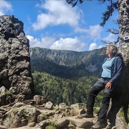 De La Vallee, En Pleine Foret