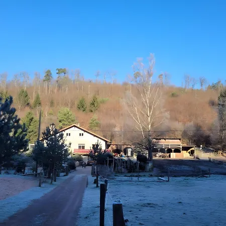 De La Vallee, En Pleine Foret Σπίτι διακοπών Soucht