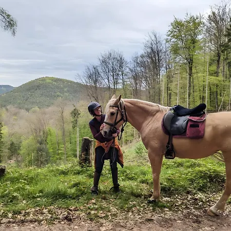 Σπίτι διακοπών De La Vallee, En Pleine Foret *