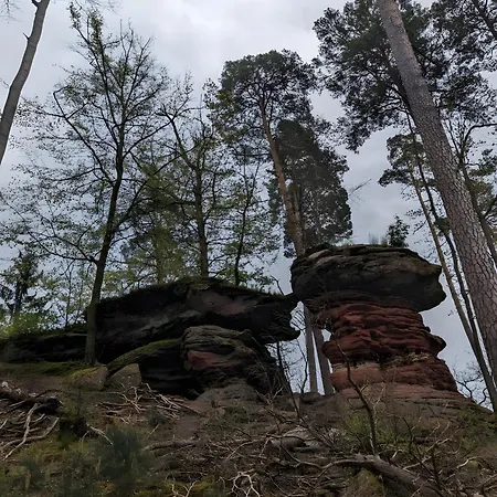 De La Vallee, En Pleine Foret Σπίτι διακοπών