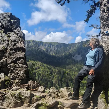 De La Vallee, En Pleine Foret Σπίτι διακοπών *