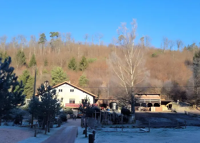 De La Vallee, En Pleine Foret *