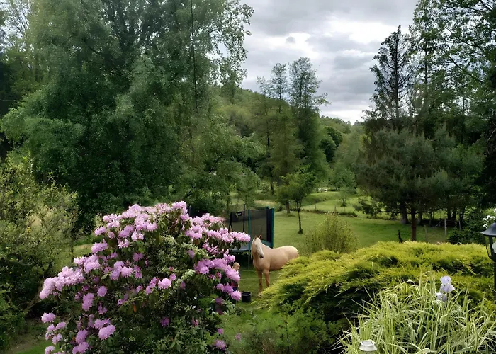 De La Vallee, En Pleine Foret