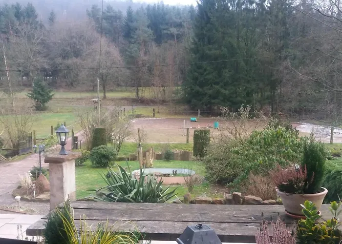 Holiday home De La Vallee, En Pleine Foret *