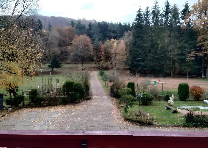 De La Vallee, En Pleine Foret Holiday home *