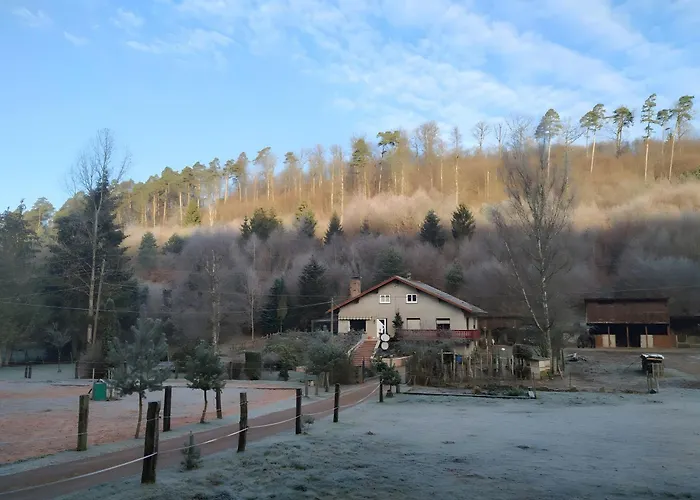 Holiday home De La Vallee, En Pleine Foret