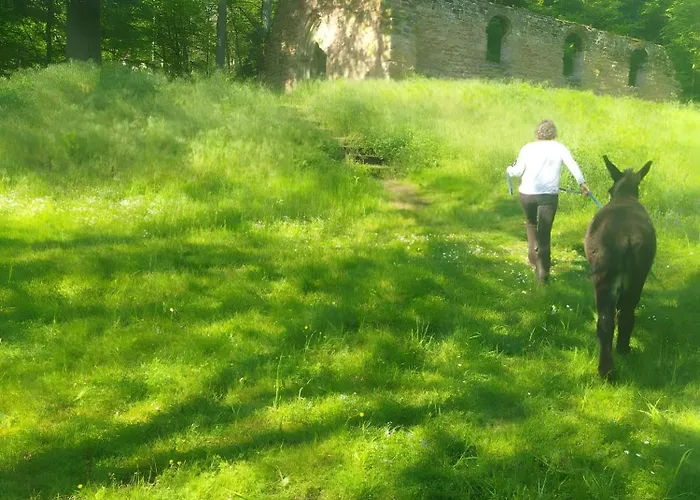 De La Vallee, En Pleine Foret Holiday home *