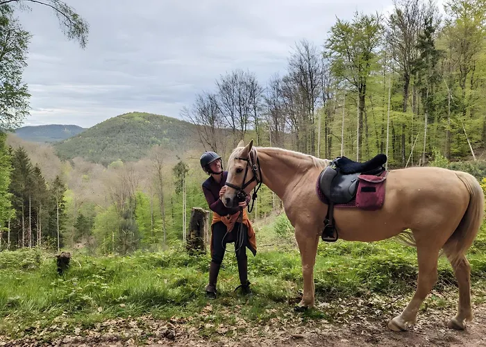 De La Vallee, En Pleine Foret Holiday home Soucht