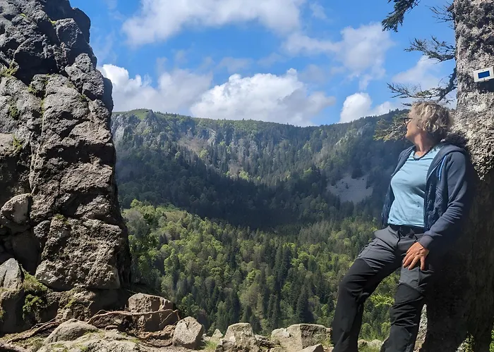 De La Vallee, En Pleine Foret