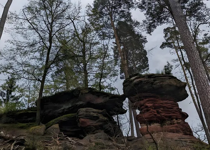 De La Vallee, En Pleine Foret * Soucht